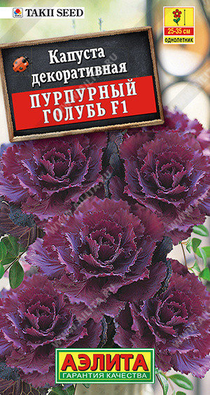 1521A Капуста декоративная Пурпурный голубь F1 7 шт