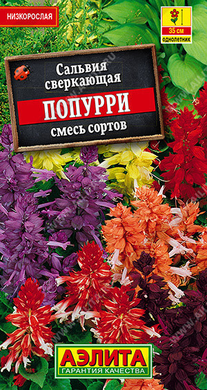 1821A Сальвия Попурри, смесь сортов 0,1 г