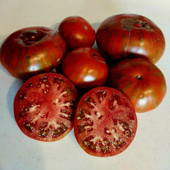 7079T Томат Странная вещь девушки 10 шт