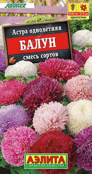 1222A Астра Балун, смесь сортов 25 шт