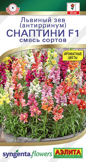 1622A Львиный зев Снаптини F1, смесь сортов 7 шт