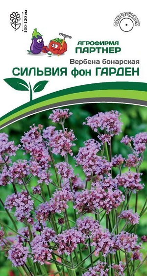 3293P Вербена бонарская СИЛЬВИЯ фон ГАРДЕН 10 шт