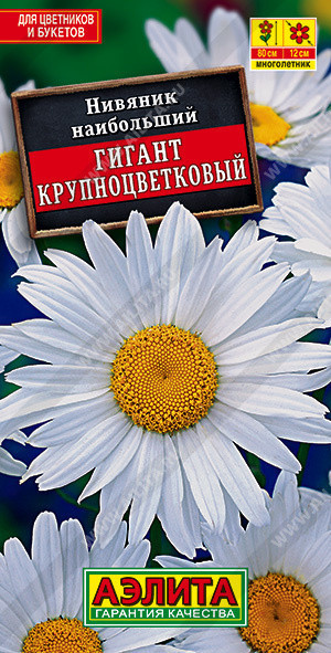 1636A Нивяник крупноцветковый Гигант 0,5гр 1636A Нивяник крупноцветковый Гигант 0,5гр