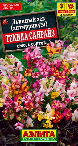 1623A Львиный зев Текила санрайз, смесь окрасок 0,1 г