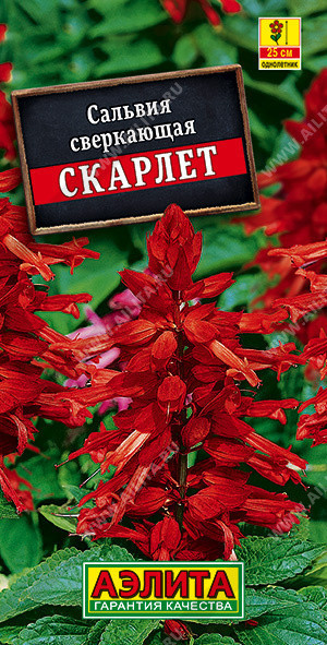 1823A Сальвия сверкающая Скарлет 0,1 г