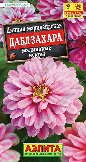 1923A Цинния Дабл Захара малиновые искры 5 шт