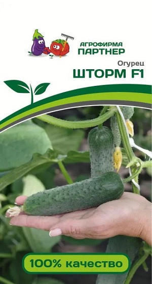 3104P Огурец ШТОРМ F1 5шт 3104P Огурец ШТОРМ F1 5шт