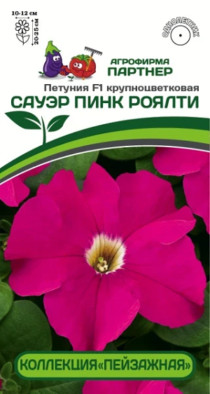3413P Петуния F1 САУЭР ПИНК РОЯЛТИ / крупноцветковая кустовая 10шт 3413P Петуния F1 САУЭР ПИНК РОЯЛТИ / крупноцветковая кустовая 10шт