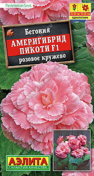 1324A Бегония Америгибрид Пикоти F1 розовое кружево 5 шт