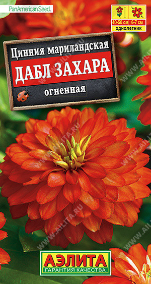 1924A Цинния Дабл Захара огненная 5 шт