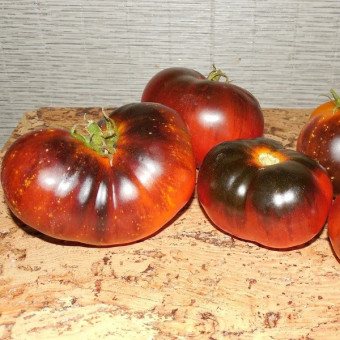 7082T Томат Тёмная галактика 10 шт