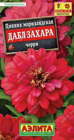 1925A Цинния Дабл Захара черри 5 шт
