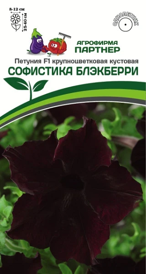 3415P Петуния F1 серия СОФИСТИКА БЛЭКБЕРРИ / крупноцветковая кустовая 5шт 3415P Петуния F1 серия СОФИСТИКА БЛЭКБЕРРИ / крупноцветковая кустовая 5шт