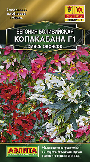 1326A Бегония боливийская Копакабана F1, смесь окрасок 5 шт