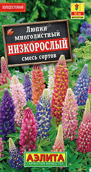 1626A Люпин Низкорослый, смесь сортов 15 шт
