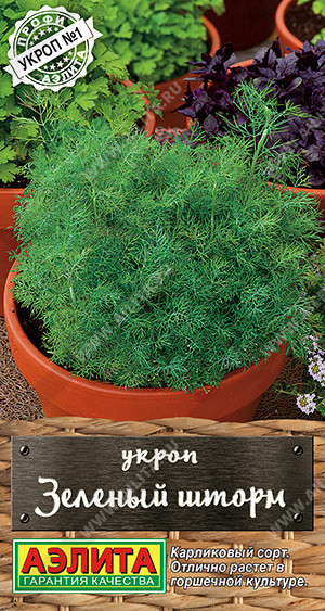 1040A Укроп Зеленый шторм 1гр
