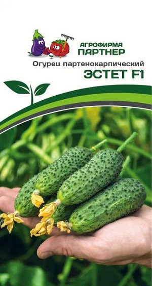 3107P Огурец ЭСТЕТ F1 5шт 3107P Огурец ЭСТЕТ F1 5шт