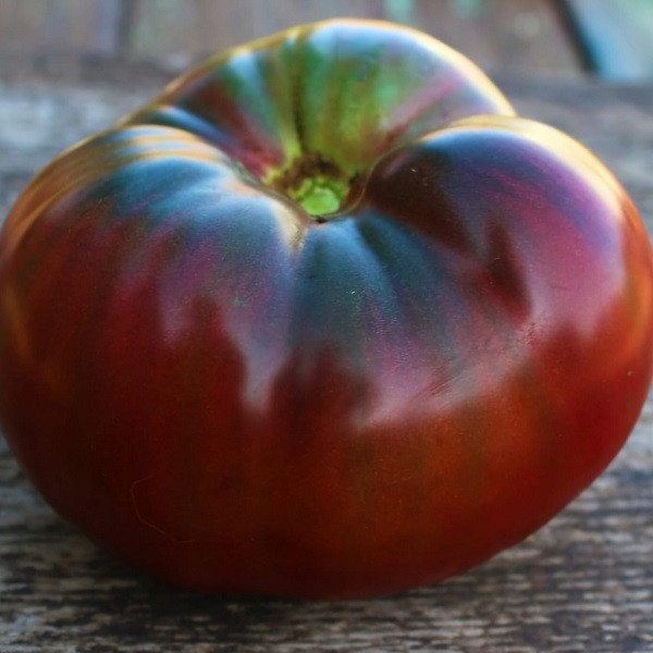 7090T Томат Чёрный Леон 10шт 7090T Томат Чёрный Леон 10шт