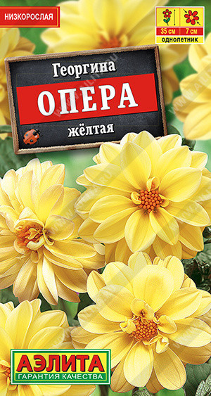 1427A Георгина Опера желтая 7 шт