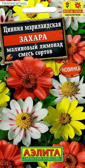 1927A Цинния Захара малиновый лимонад, смесь сортов 5 шт