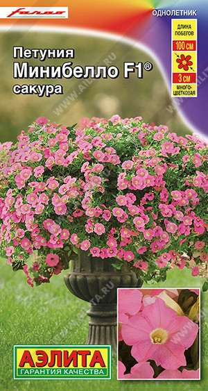 1729A Петуния мини Минибелло F1 сакура многоцветковая 5шт