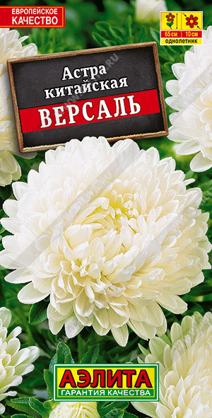 1228A Астра Версаль пионовидная 0,2 г