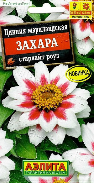 1928A Цинния Захара старлайт роуз 5 шт