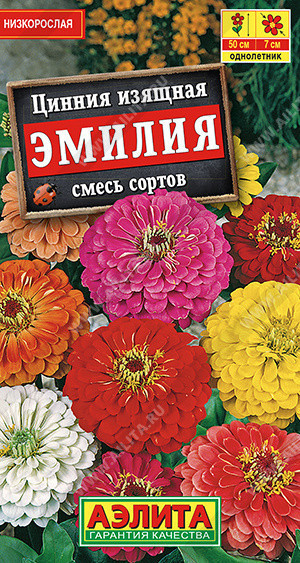 1933A Цинния Эмилия, смесь сортов 0,3гр 1933A Цинния Эмилия, смесь сортов 0,3гр