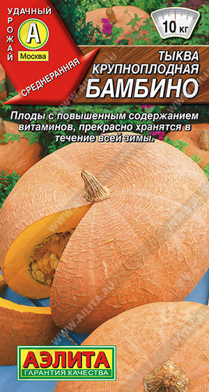 1029A Тыква крупноплодная Бамбино 1 г