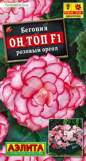 1329A Бегония Он Топ F1 розовый ореол 5 шт