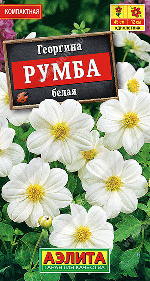 1429A Георгина Румба белая 0,3 г