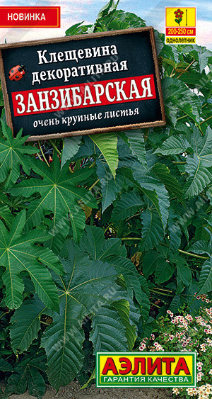 1529A Клещевина Занзибарская 2 г