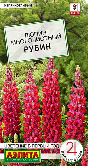 1629A Люпин Рубин 7 шт