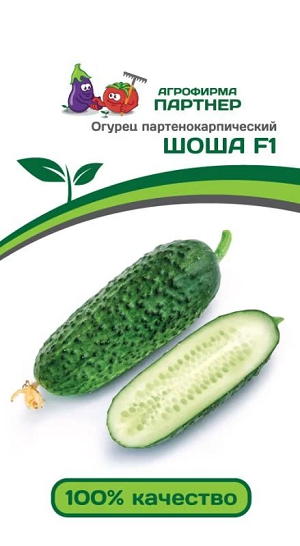 3100P Огурец ШОША F1 5 шт