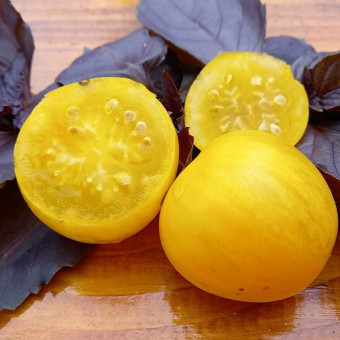 7087T Томат Хуан Ю 10 шт