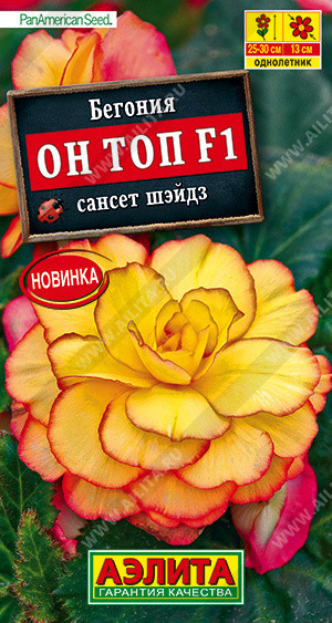 1330A Бегония Он Топ F1 сансет шэйдз 5 шт