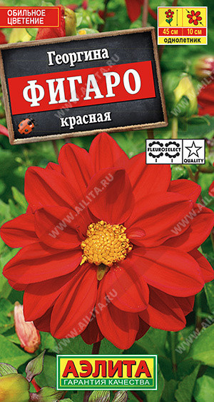 1430A Георгина Фигаро махровая красная 7 шт