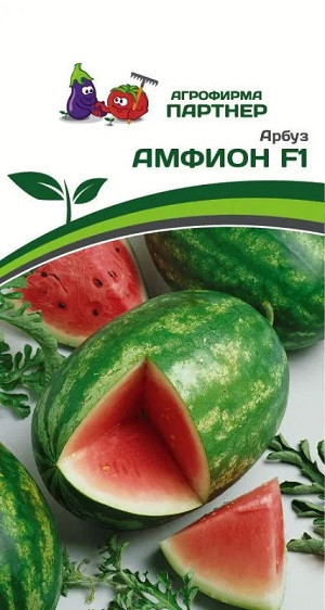 3002P Арбуз АМФИОН F1 5 шт