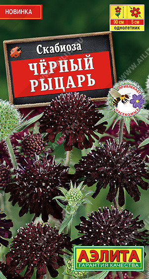 1832A Скабиоза Черный рыцарь 0,1 г