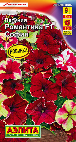 1734A Петуния Романтика F1 софия 5шт 1734A Петуния Романтика F1 софия 5шт