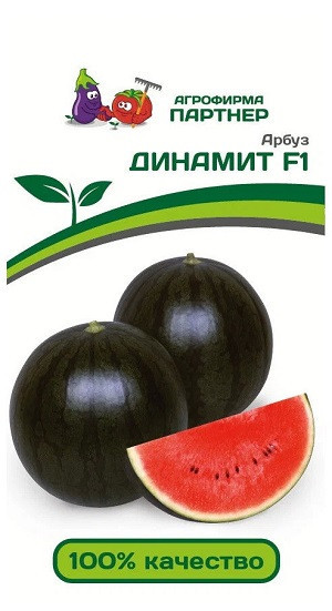3004P Арбуз ДИНАМИТ F1 5шт 3004P Арбуз ДИНАМИТ F1 5шт
