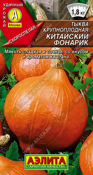 1033A Тыква крупноплодная Китайский фонарик 1 г