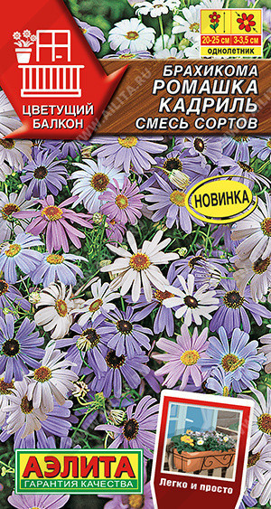 1333A Брахикома Ромашка кадриль, смесь сортов 0,1 г