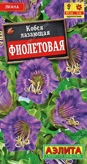 1533A Кобея фиолетовая 0,45 г