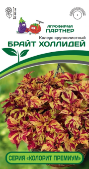 3313P Колеус "КОЛОРИТ ПРЕМИУМ" БРАЙТ ХОЛЛИДЕЙ 5шт