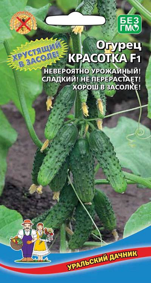 8011N Огурец Красотка F1 10шт 8011N Огурец Красотка F1 10шт