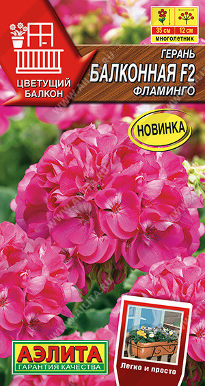 1434A Герань Балконная фламинго F2 5 шт