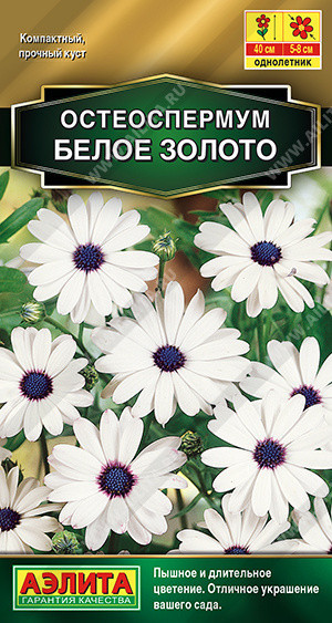 1648A Остеоспермум Белое золото 10шт 1648A Остеоспермум Белое золото 10шт