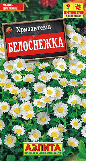 1848A Хризантема Белоснежка 0,1гр 1848A Хризантема Белоснежка 0,1гр
