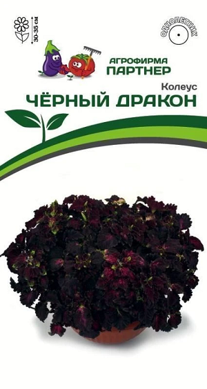 3315P Колеус ЧЁРНЫЙ ДРАКОН 10шт 3315P Колеус ЧЁРНЫЙ ДРАКОН 10шт